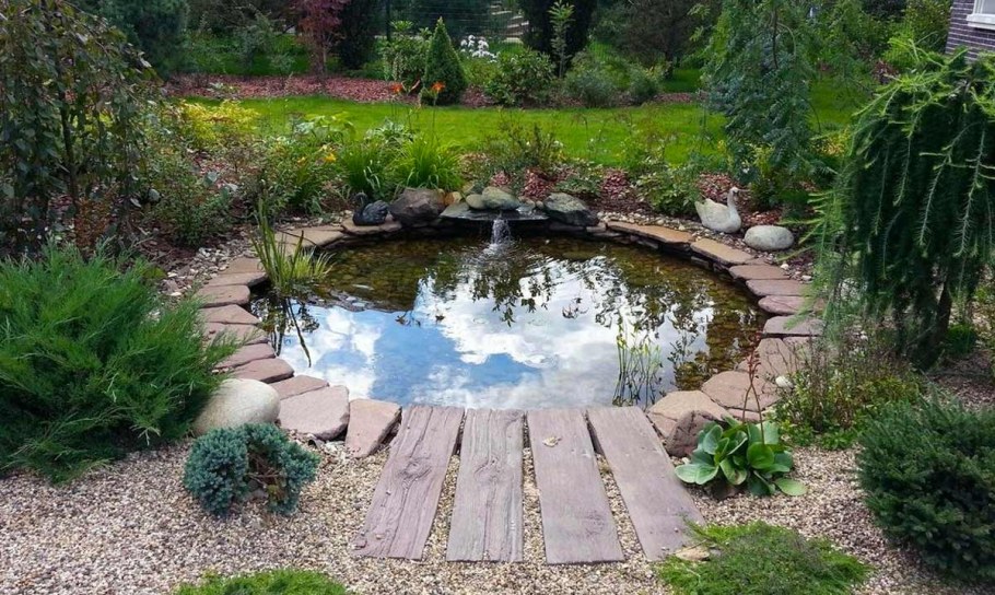 Пруд на даче