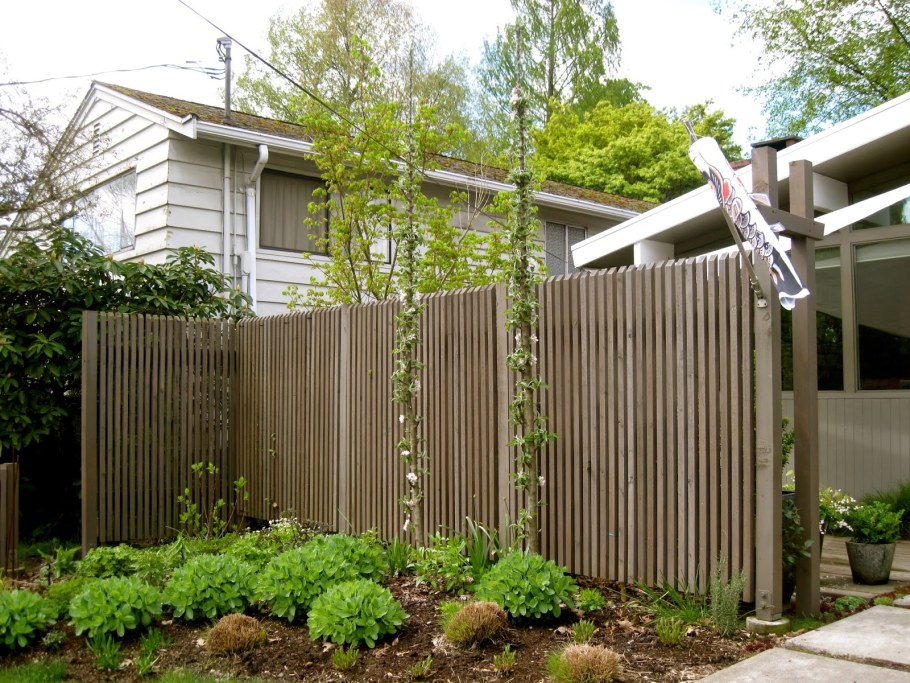 Плодовые деревья вдоль забора