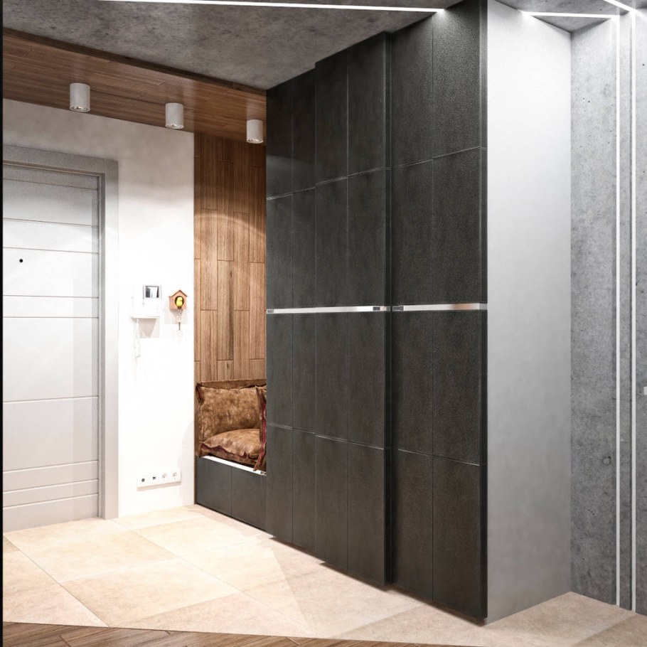 Современные прихожие лофт