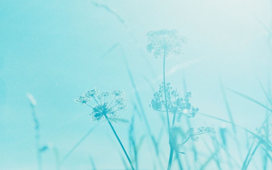 Голубые обои на рабочий стол