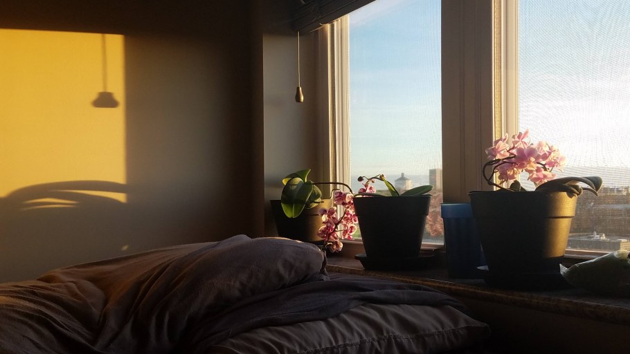 Утро вид из окна