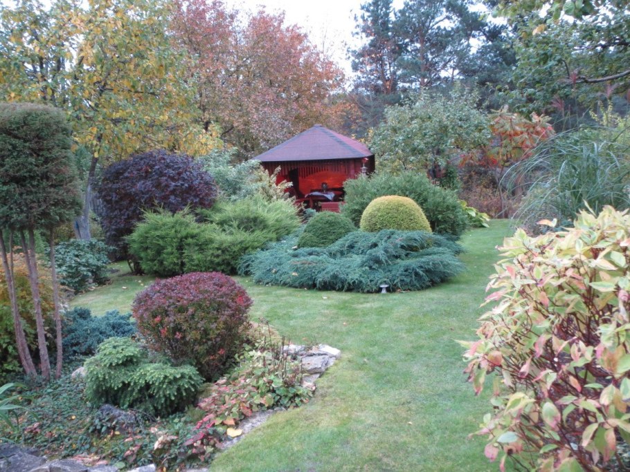 Клумба гортензия, пузыреплодник, Барбарис