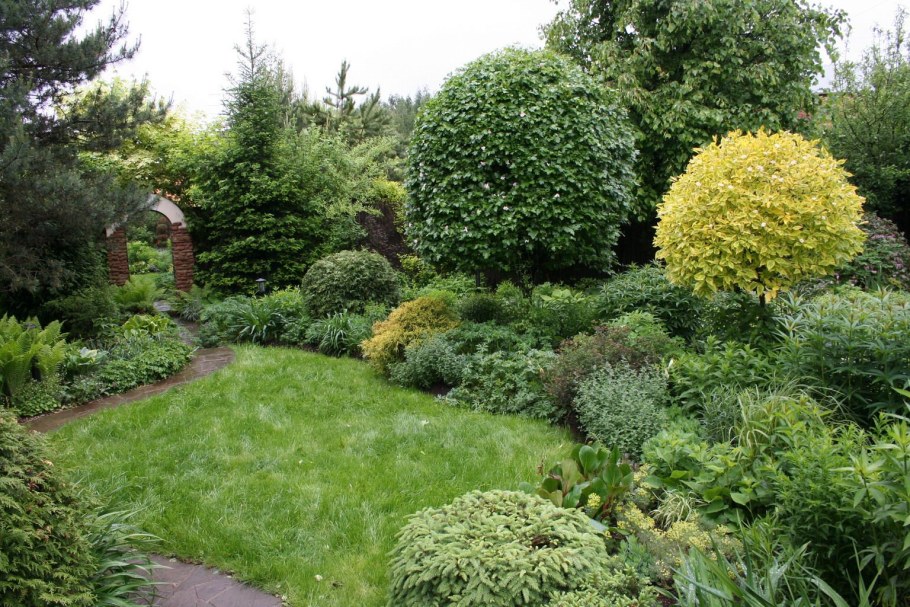 Клумба гортензия, пузыреплодник, Барбарис