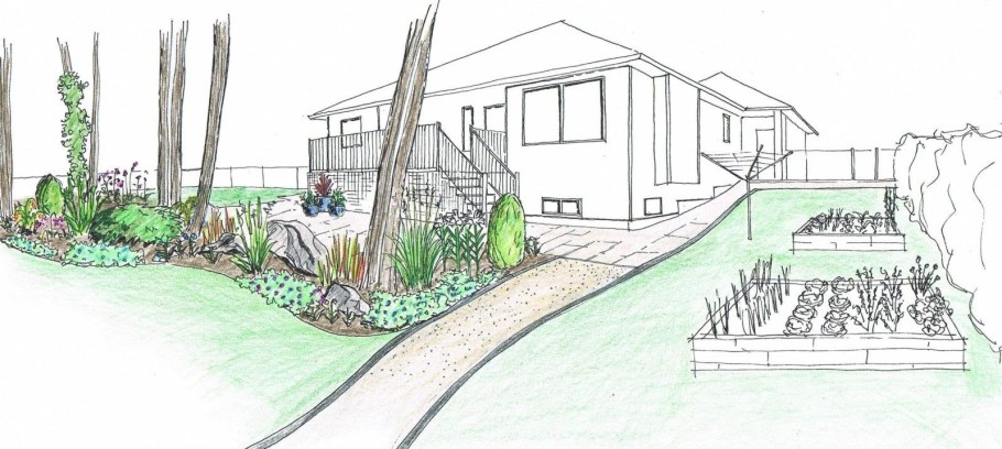 Приусадебный участок карандашом