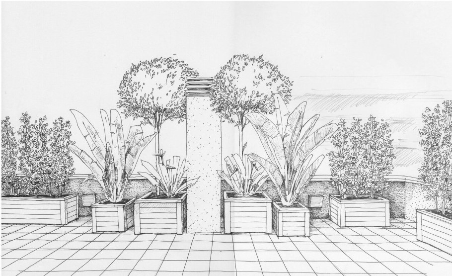 Ландшафтный дизайн рисунок