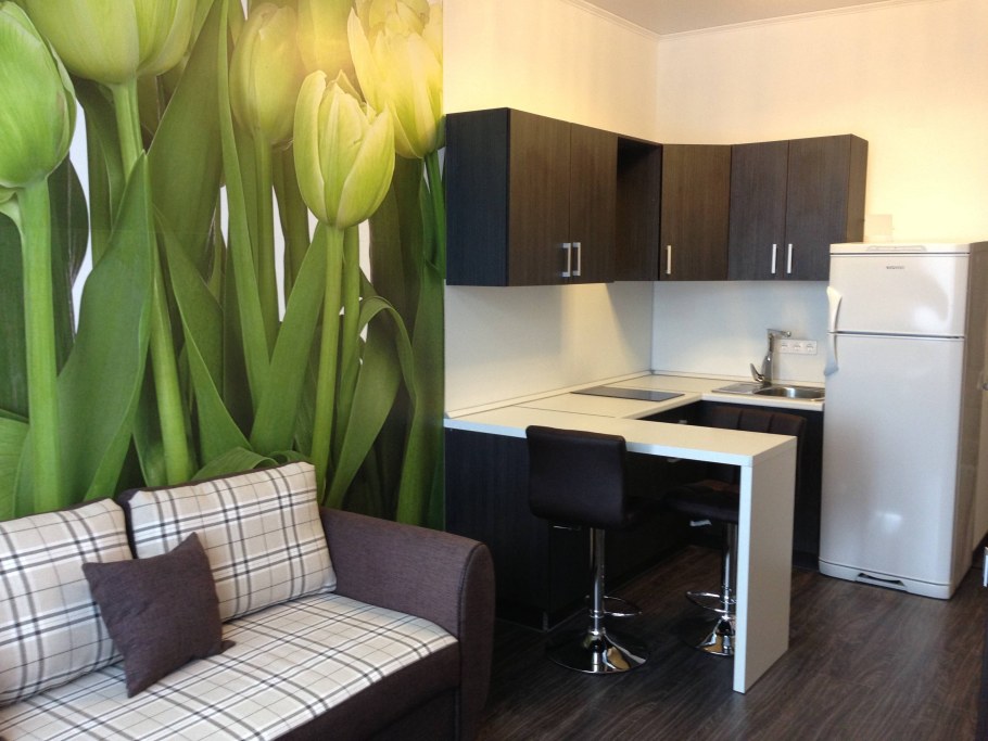 Фотообои в интерьере квартиры студии