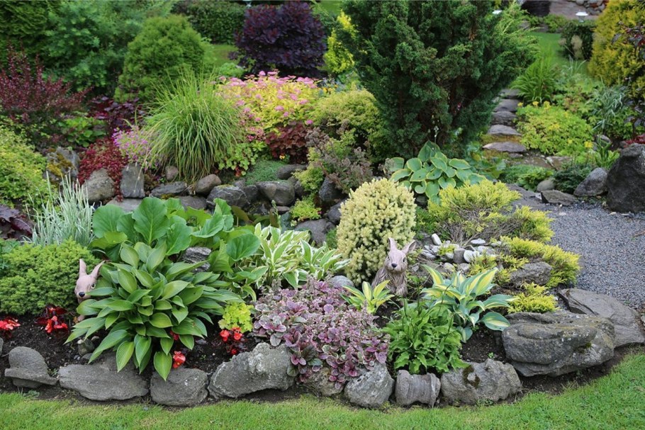 Ландшафт Хоста можжевельник горка