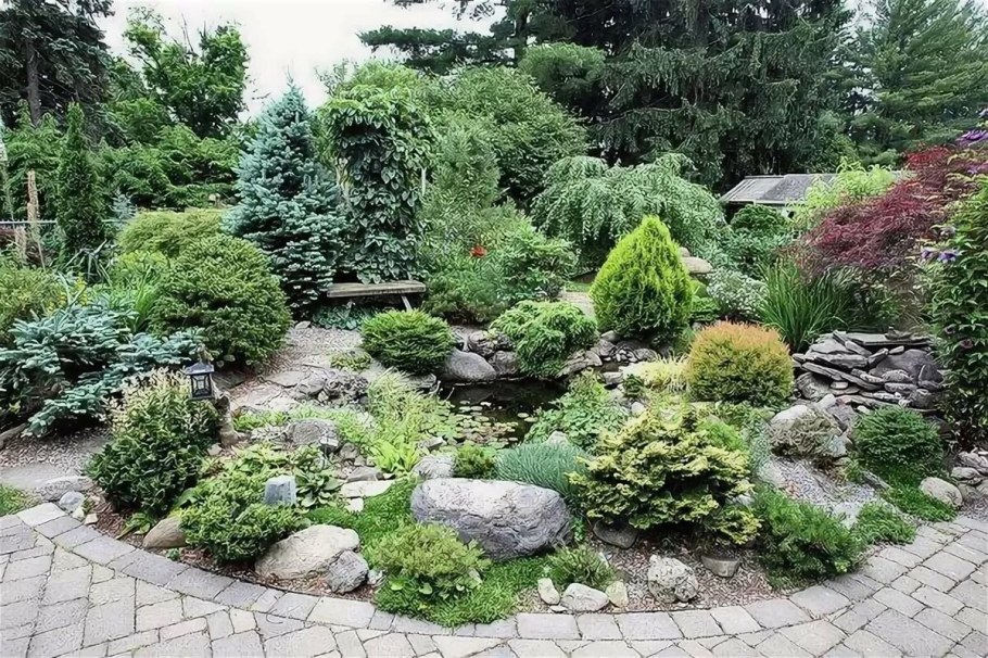 Альпийская горка миксбордер Хоста