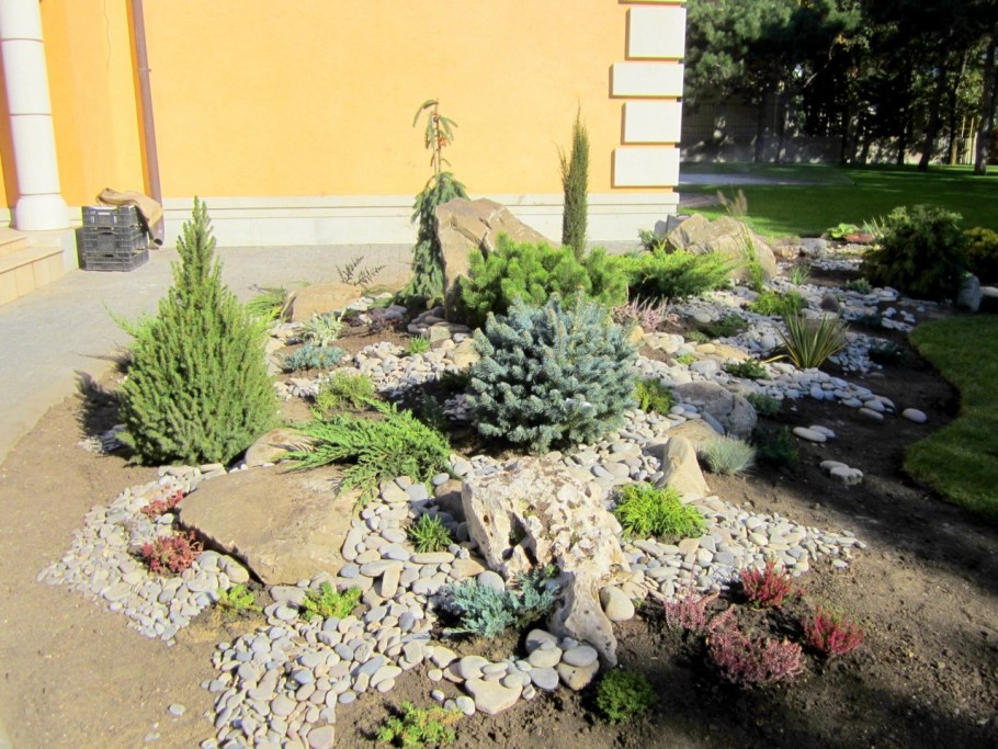 Каменистый сад с хвойниками