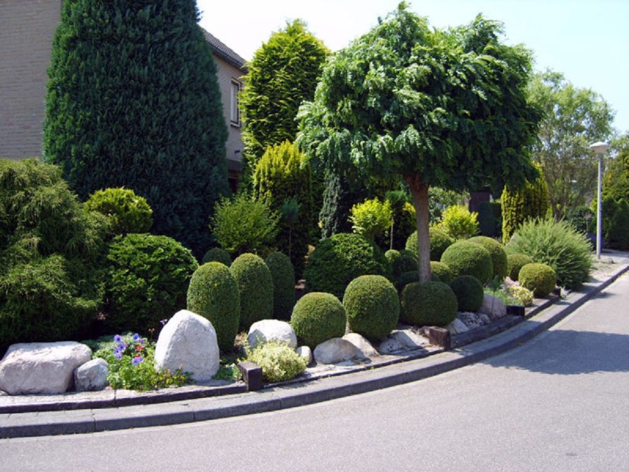 Туя Смарагд ниваки