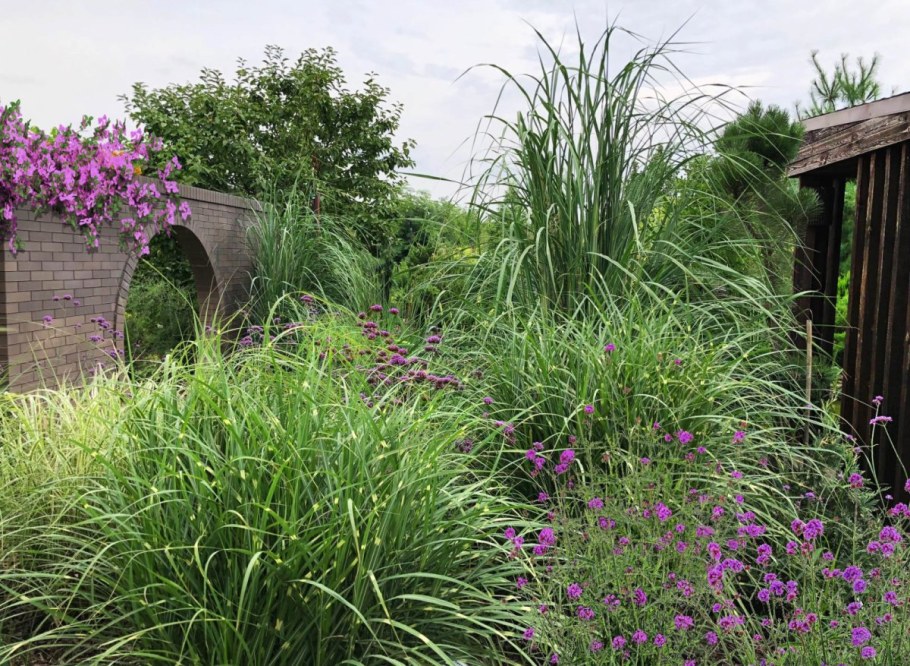 Ботанический сад Руслана Хупова