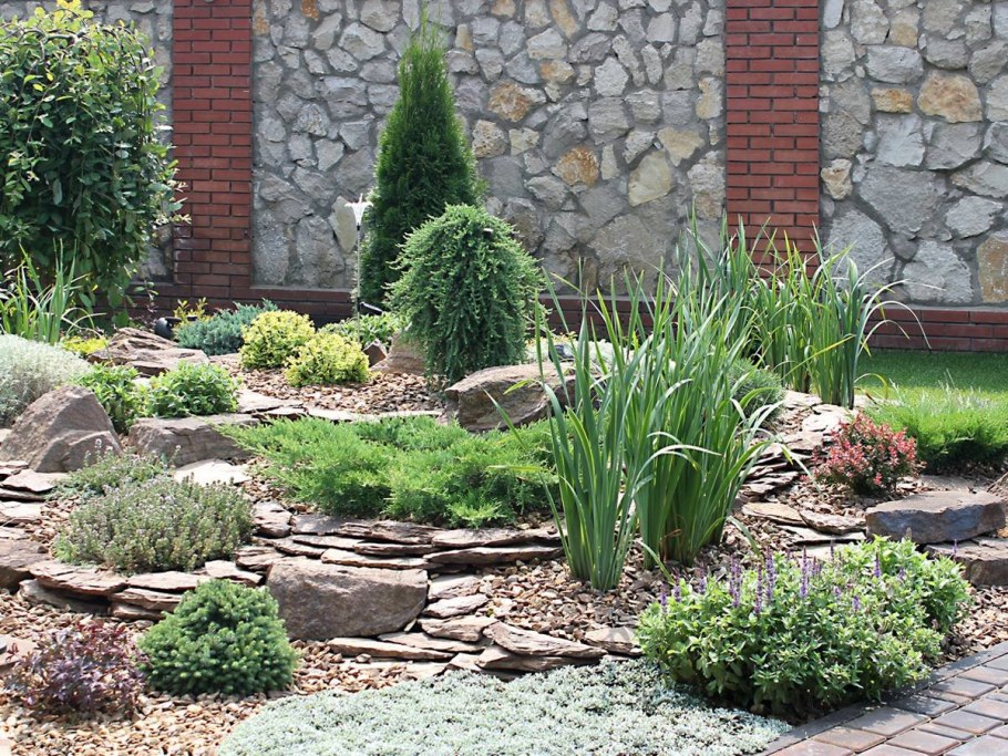 Каменистый сад в тени