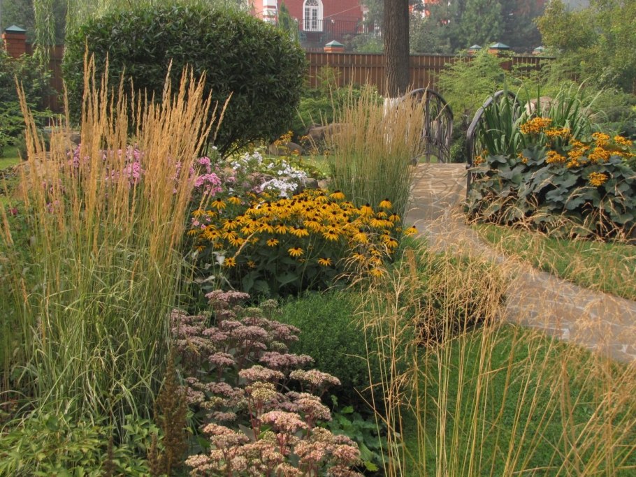 Осока фалярис ландшафт