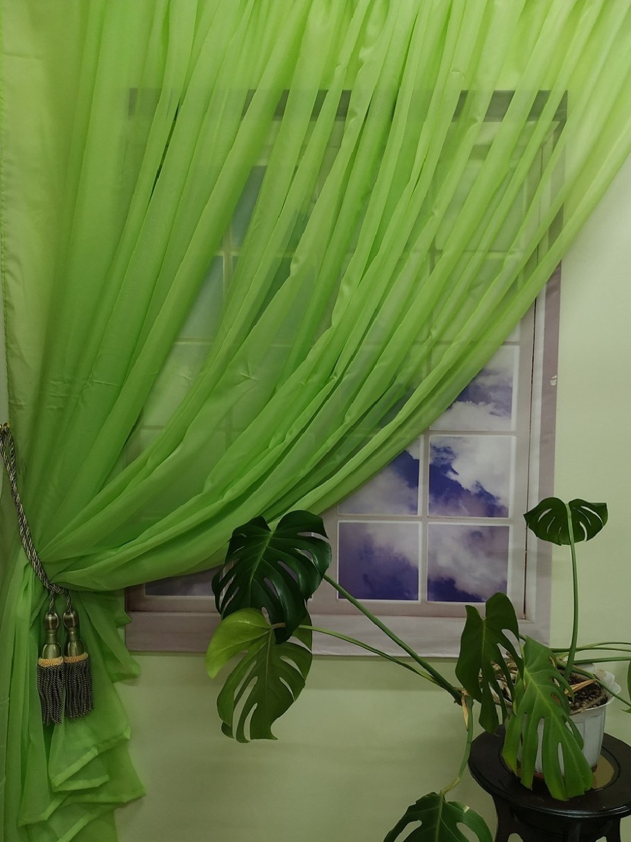 Шторы из органзы