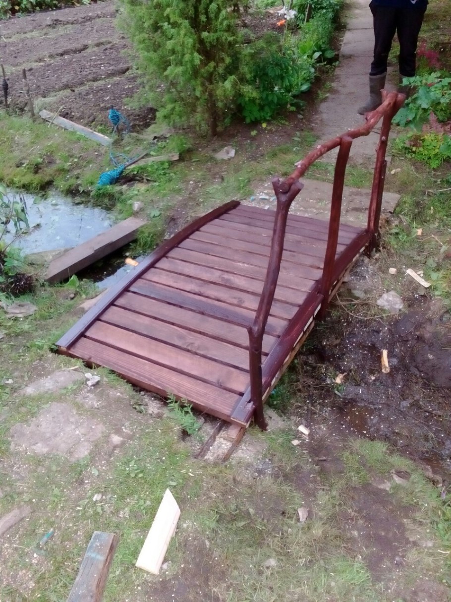 Мостик через ручей Нижний парк Липецк