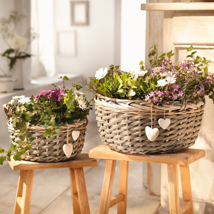 Композиции в плетеных кашпо