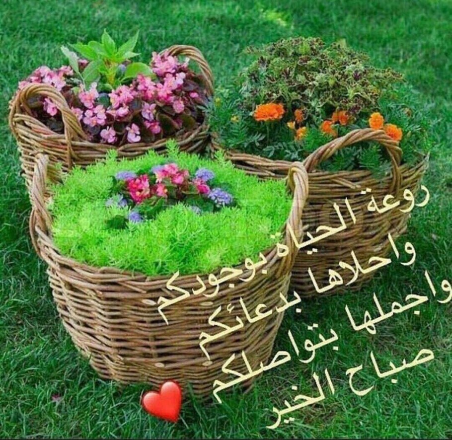 Клумба корзина