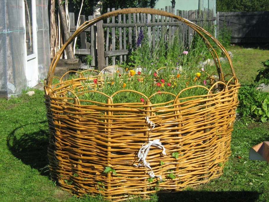 Клумба корзина из ивовых прутьев