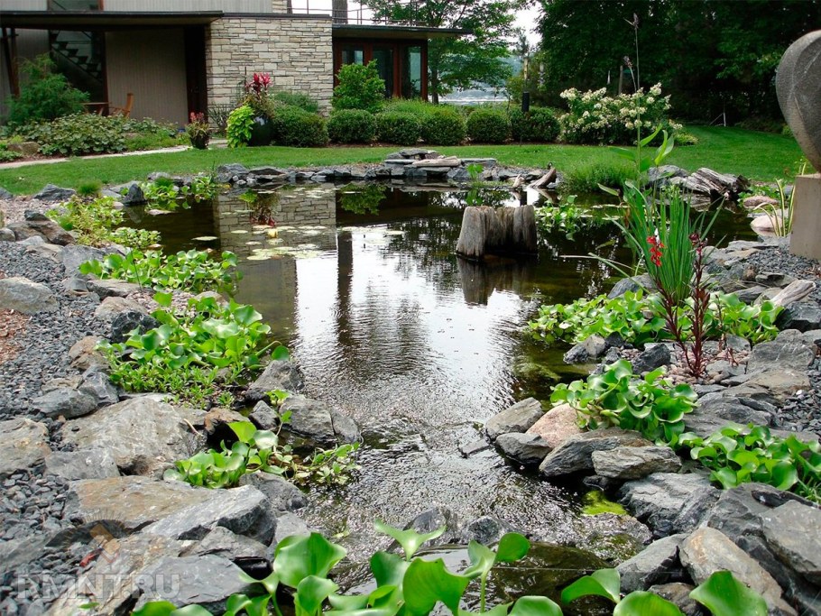 Облагородить берег пруда