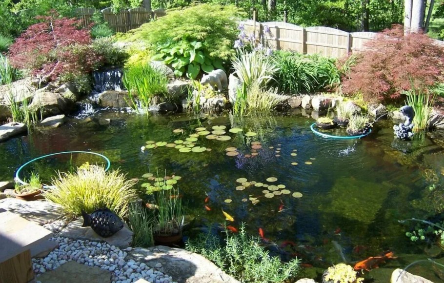 Красивый сад с прудом