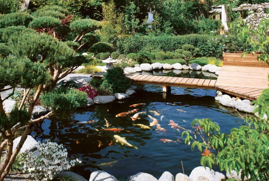 Водоемы в ландшафте