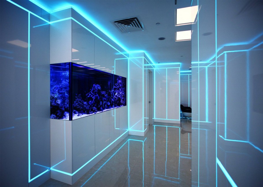 Стеклянная стена с подсветкой