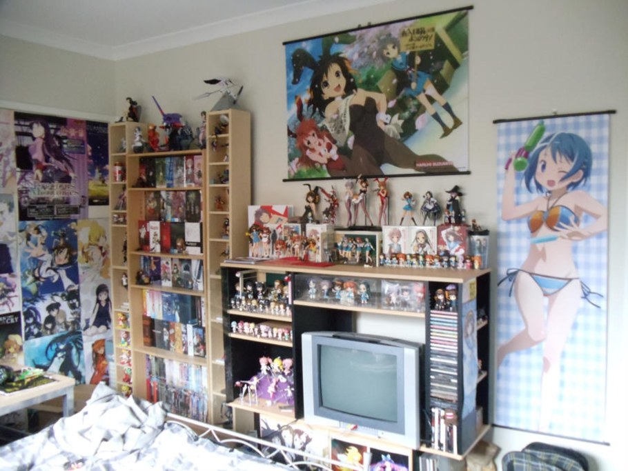 Комната мечты АНИМЕШНИКА