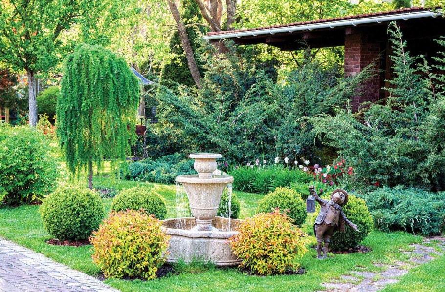 Плакучая Ива в ландшафте