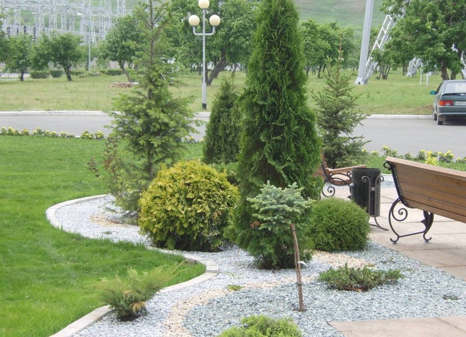 Туя Смарагд в ландшафтном