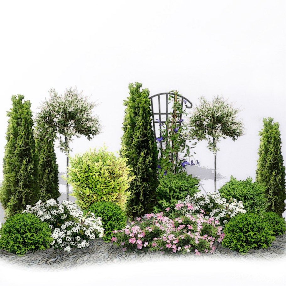 Миксбордер с туей Смарагд