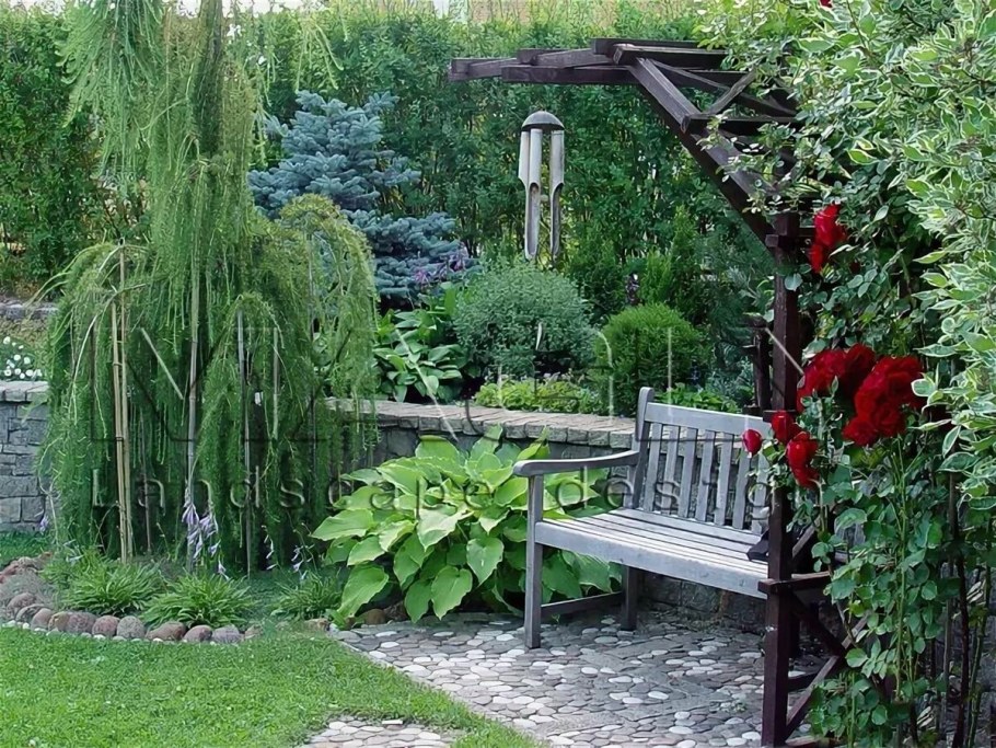 Лиственница плакучая Пендула