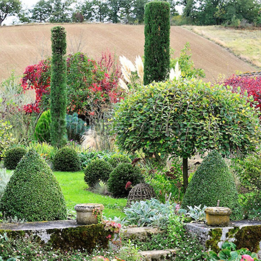 Туи и Хакуро нишики