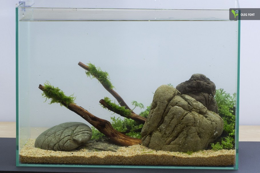 Акваскейп Олега фанфишка