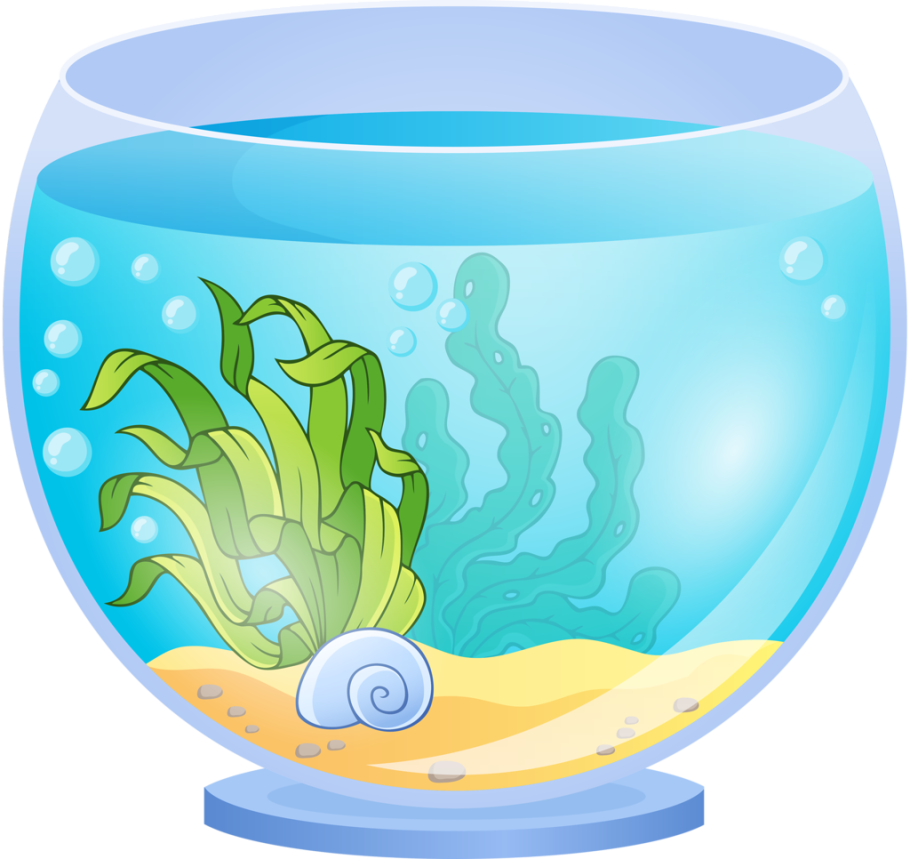 Аквариум с водорослями без рыбок