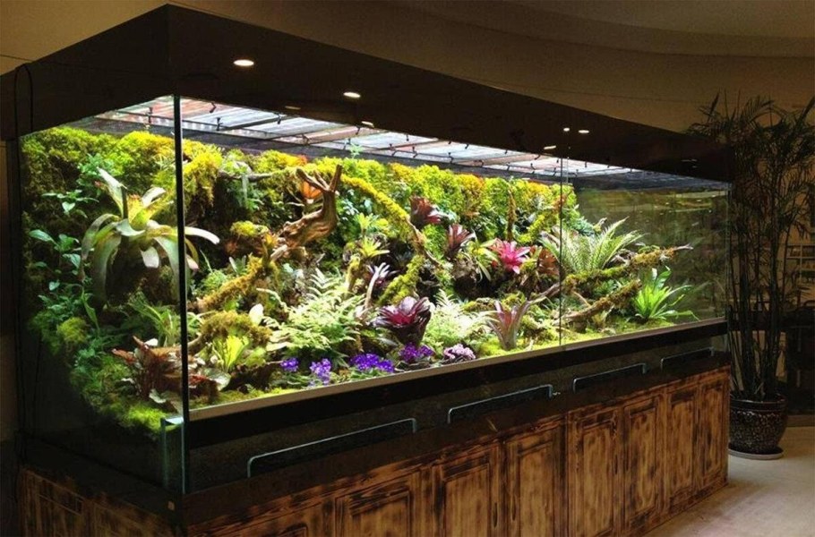 Аквариум палюдариум террариум