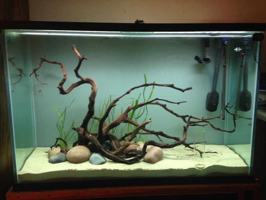 Хардскейп Малави