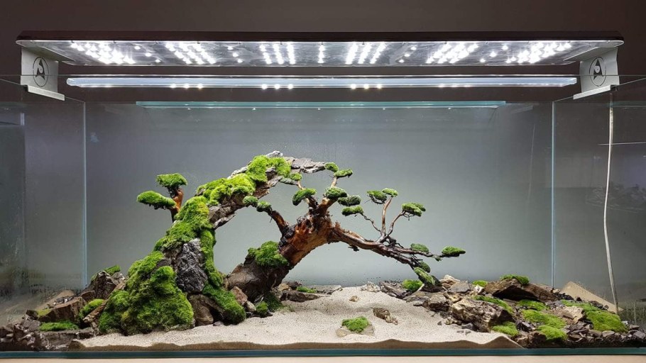 Акваскейп диабаз