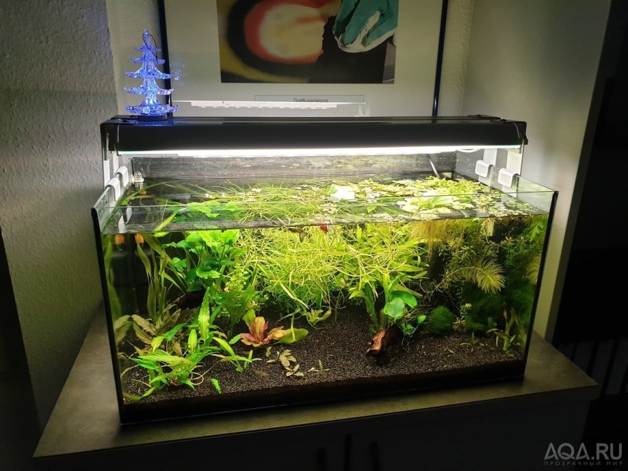 Аквариум 54 литра