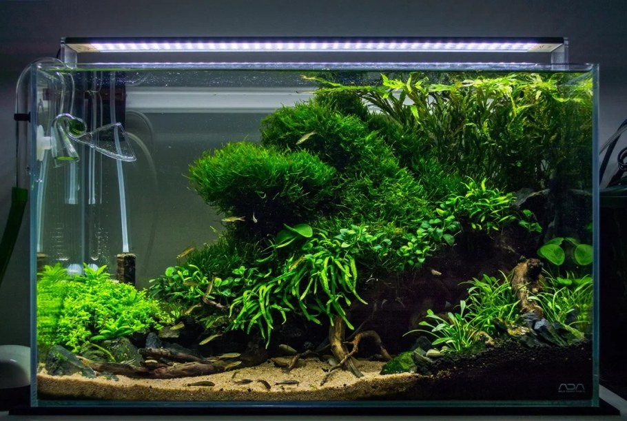 Акваскейп 30л