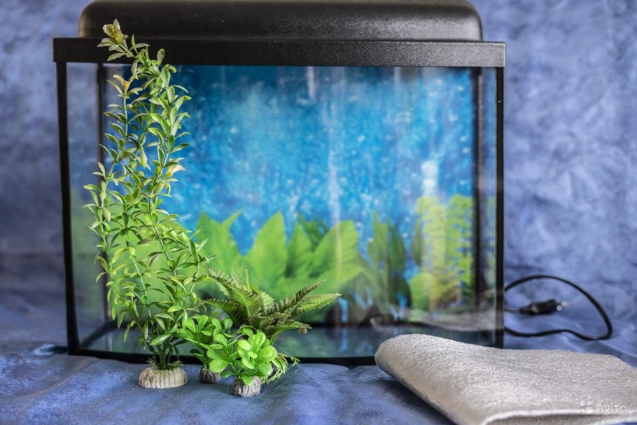 Интерьерный аквариум без воды