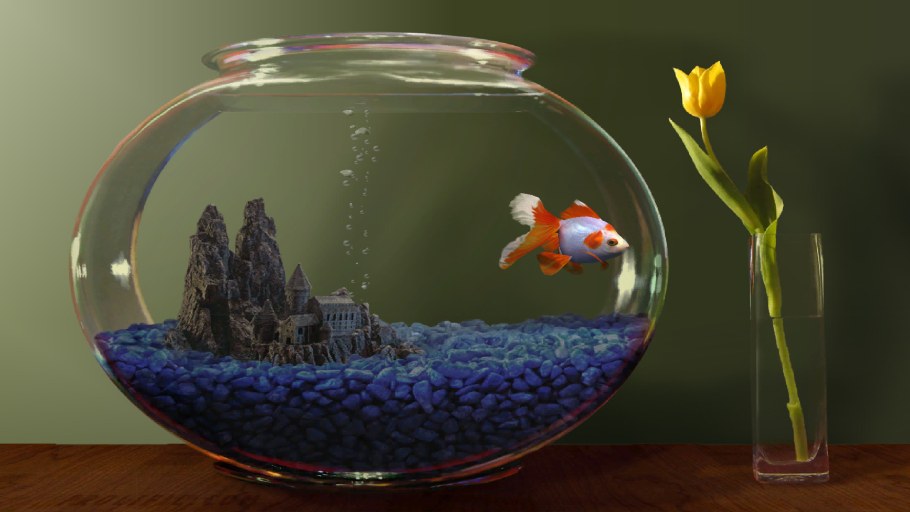 Маленькие рыбки для аквариума