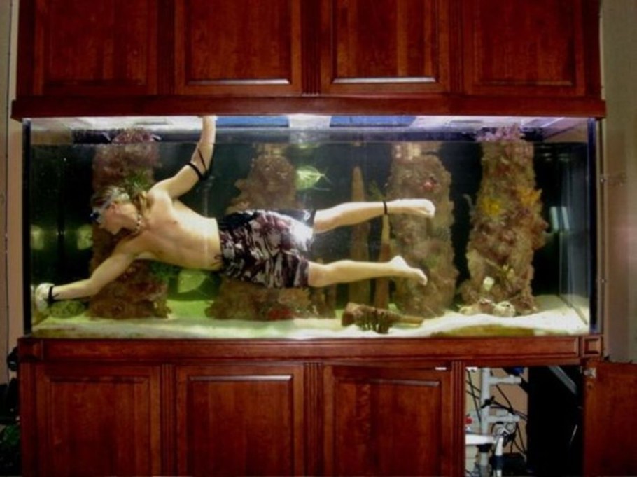 Рыбки для аквариума