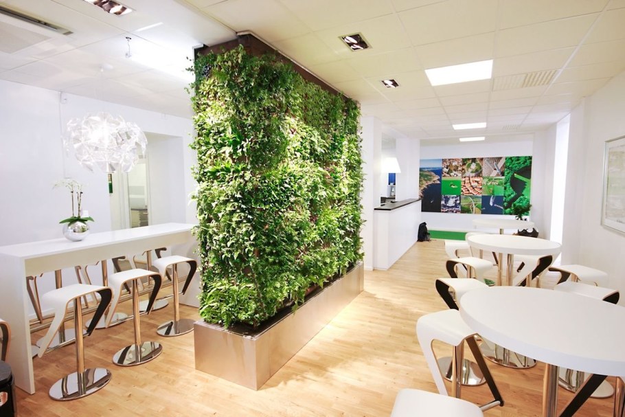 Растения в интерьере офиса