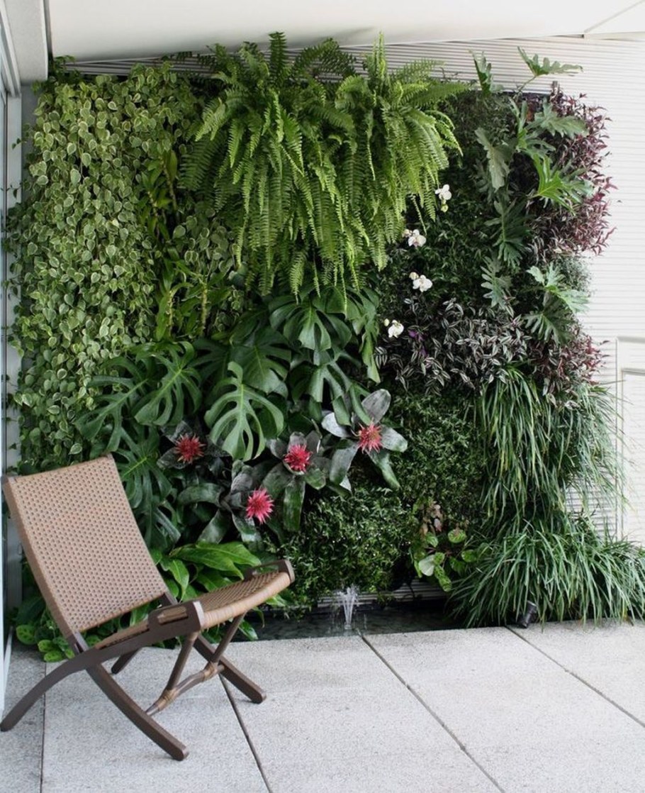 Нефролепис фитостена