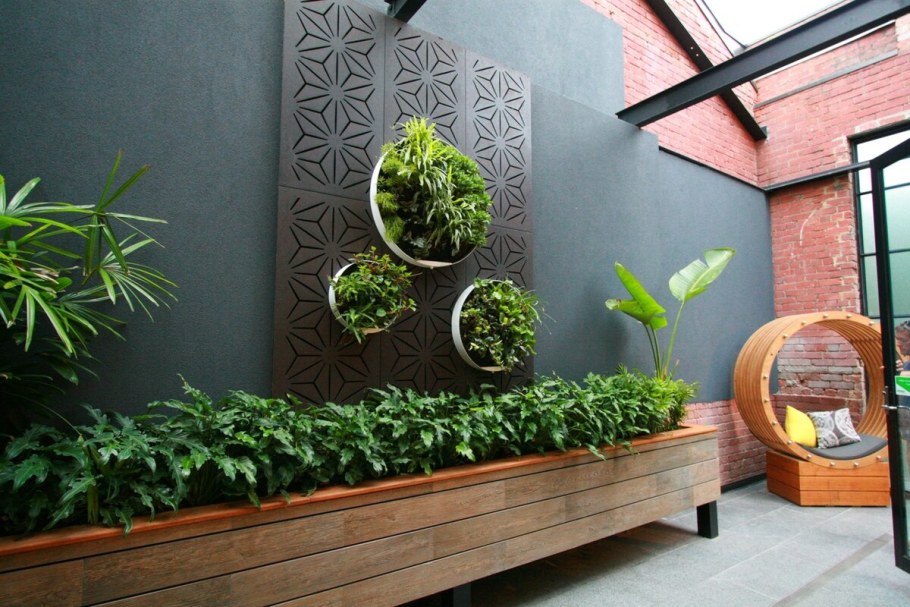 Фитостена с монстерой