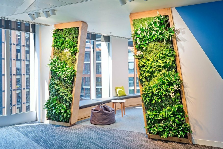 Лиана Грин вертикальное Озеленение