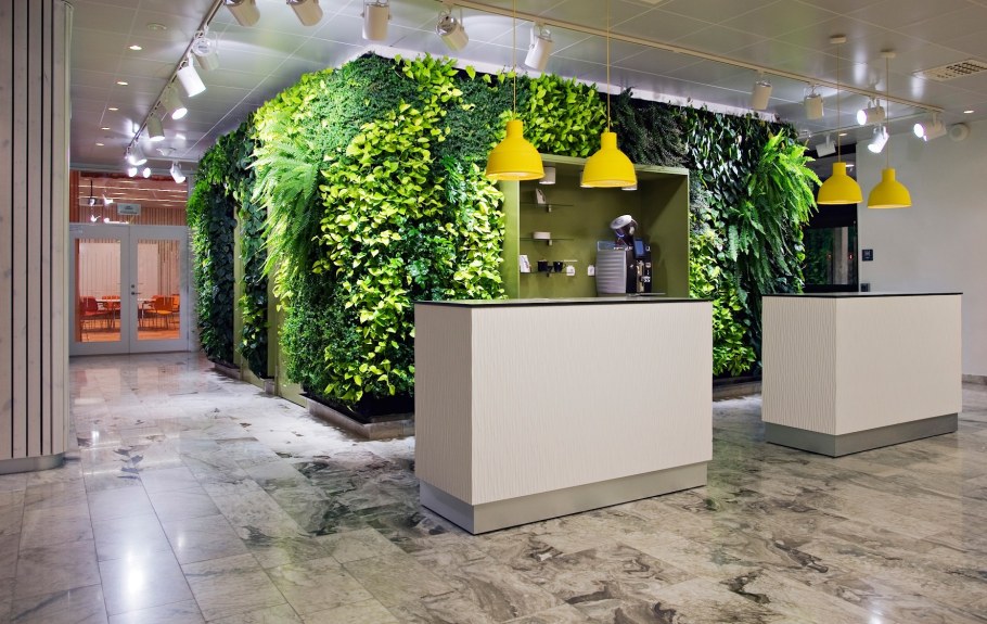 Фитодизайн фитостены