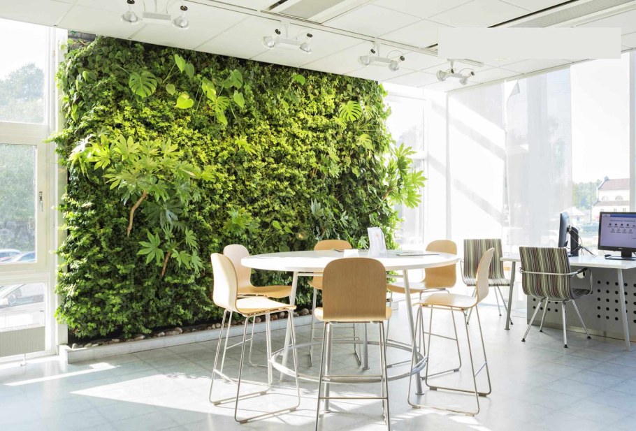 Зелень фитостена