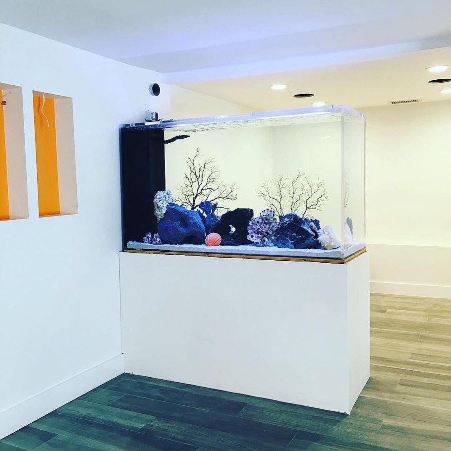 Зонирование аквариумом