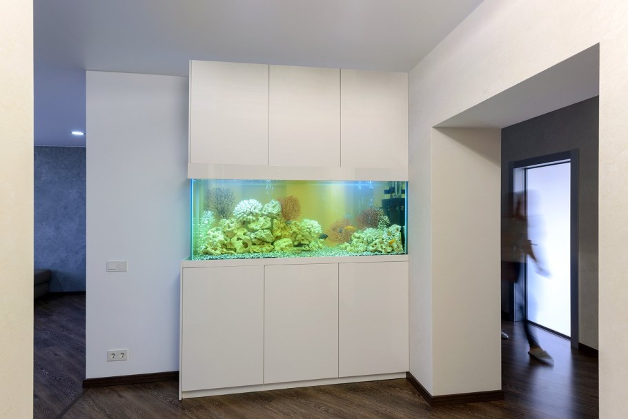 Аквариум в интерьере
